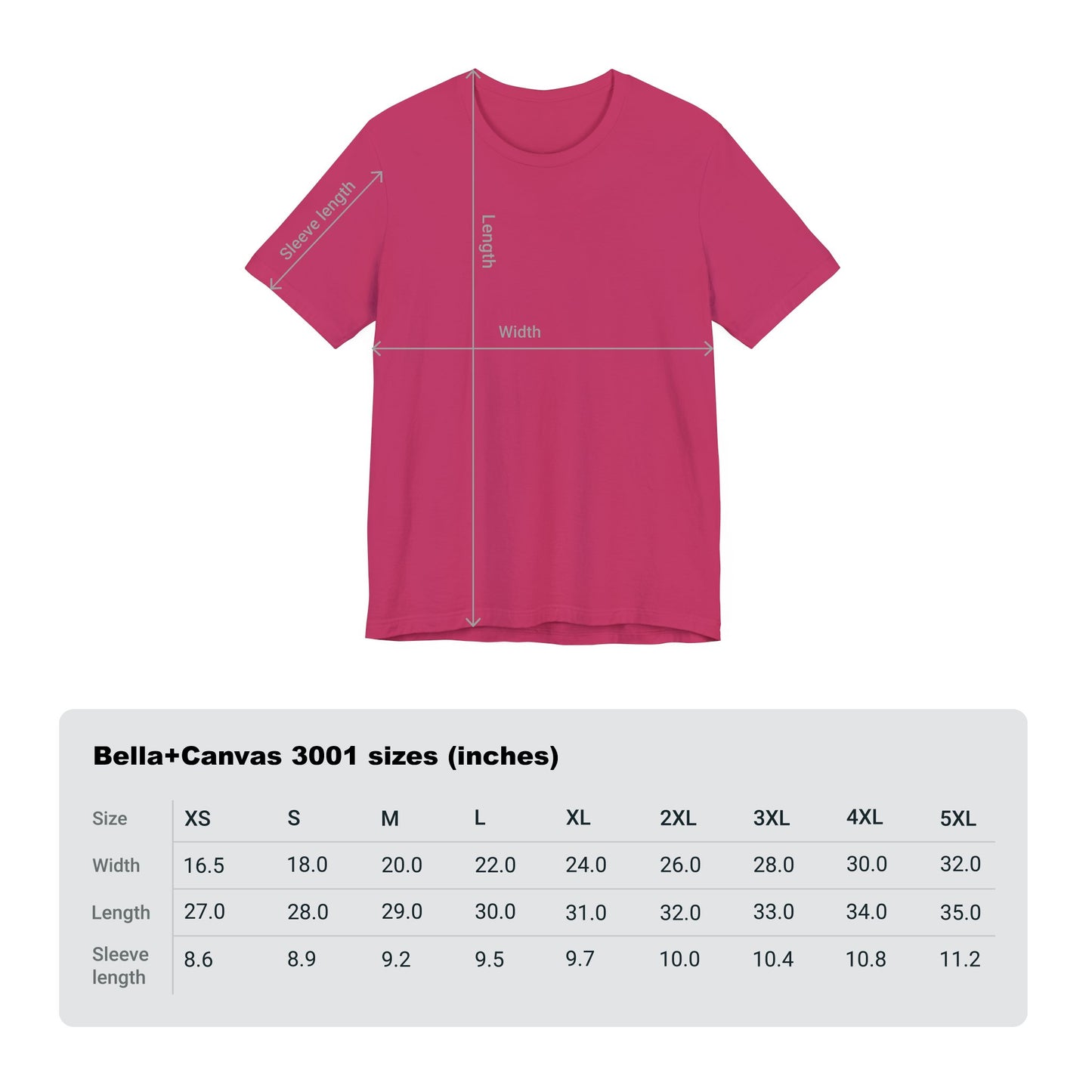 Cleric Divine Champion T-shirt