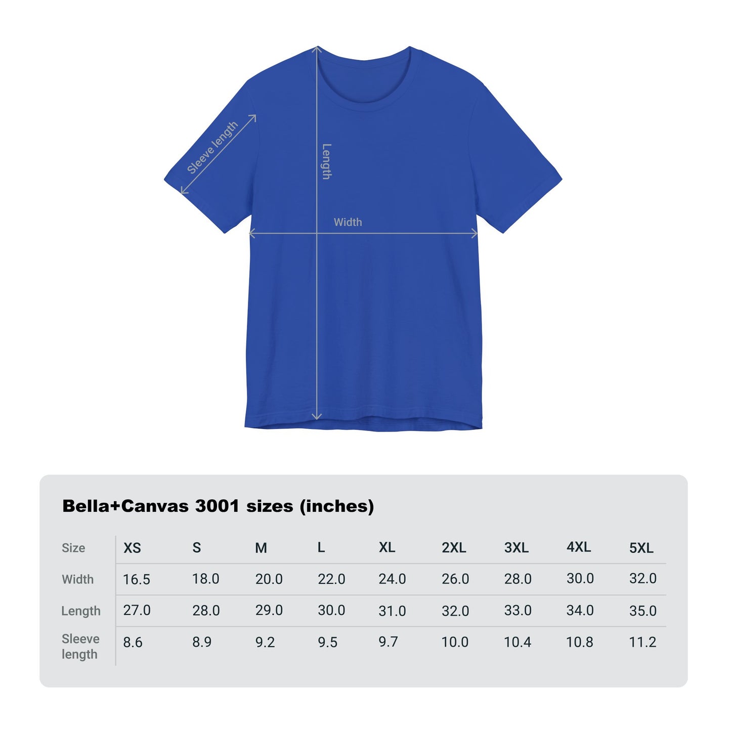 Cleric Divine Champion T-shirt